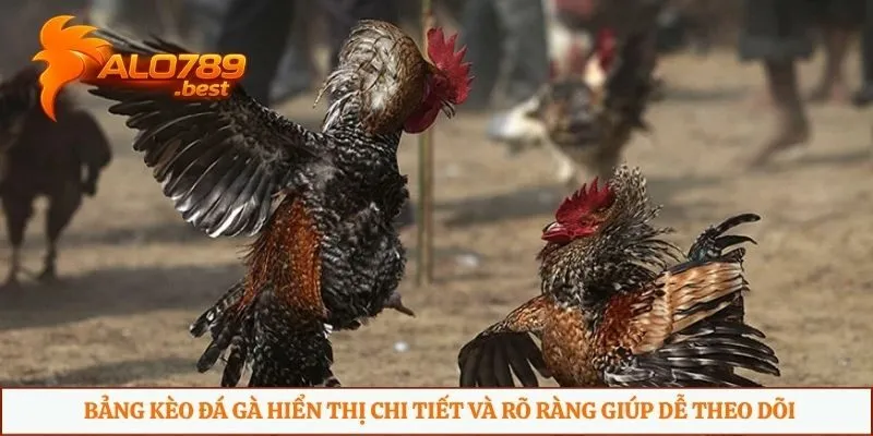 Bảng kèo đá gà hiển thị chi tiết và rõ ràng giúp dễ theo dõi