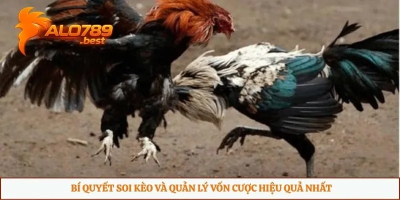 Bí quyết soi kèo và quản lý vốn cược hiệu quả nhất