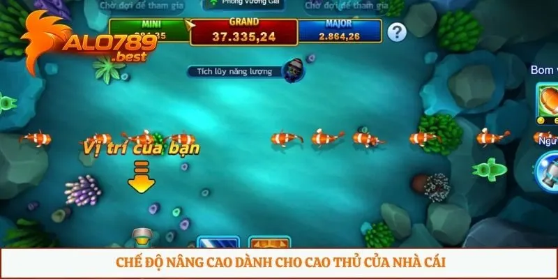 Chế độ nâng cao dành cho cao thủ của nhà cái