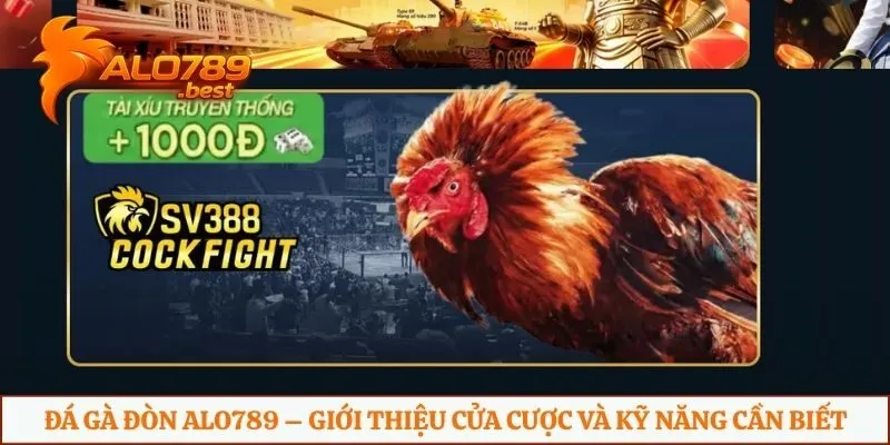 Đá gà đòn Alo789