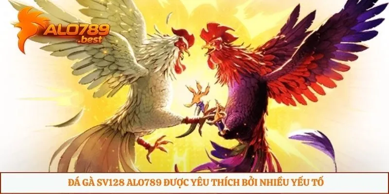 Đá gà SV128 Alo789 được yêu thích bởi nhiều yếu tố
