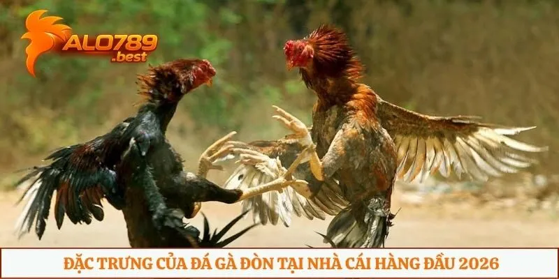 Đặc trưng của đá gà đòn tại nhà cái hàng đầu 2026