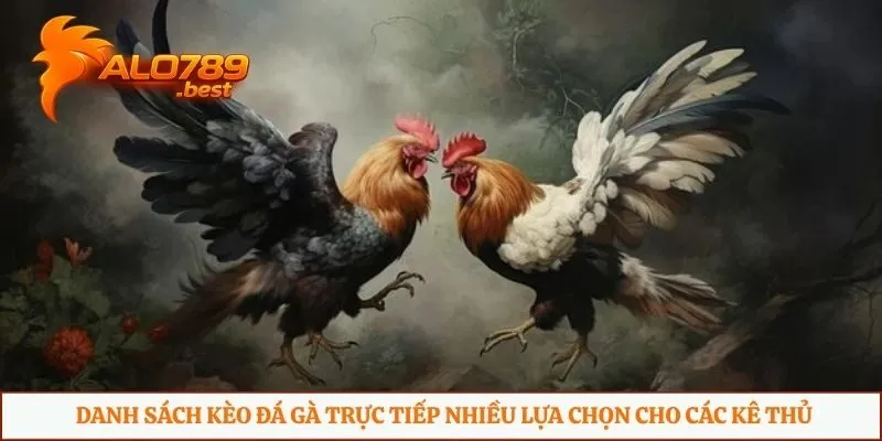 Danh sách kèo đá gà trực tiếp nhiều lựa chọn cho các kê thủ