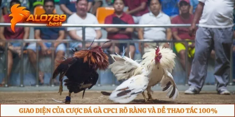 Giao diện cửa cược đá gà CPC1 rõ ràng và dễ thao tác 100%