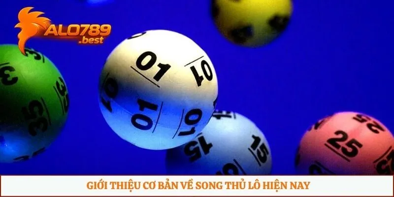 Giới thiệu cơ bản về song thủ lô hiện nay
