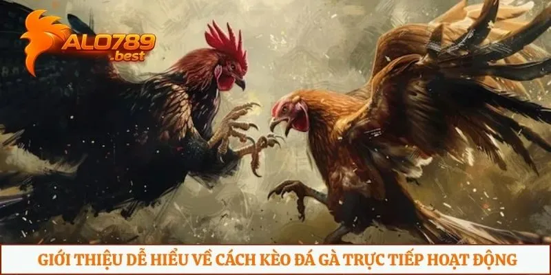 Giới thiệu dễ hiểu về cách kèo đá gà trực tiếp hoạt động