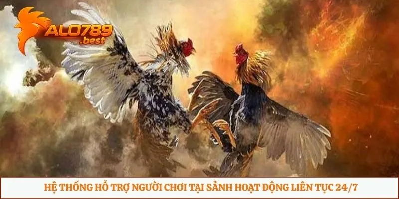 Hệ thống hỗ trợ người chơi tại sảnh hoạt động liên tục 24/7