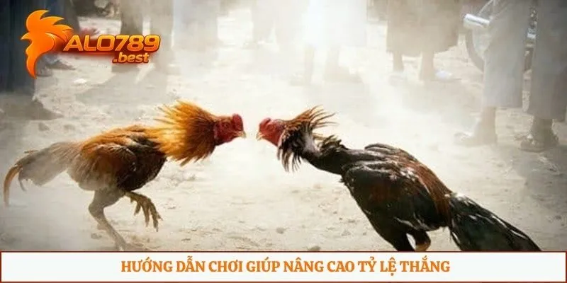 Hướng dẫn chơi giúp nâng cao tỷ lệ thắng