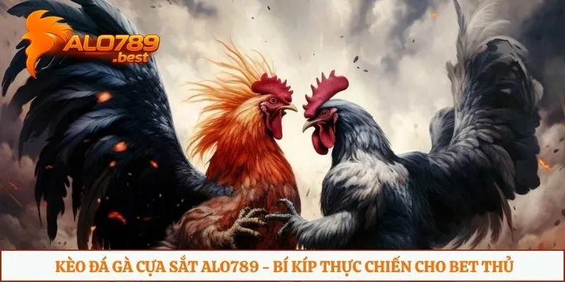 Kèo đá gà cựa sắt Alo789