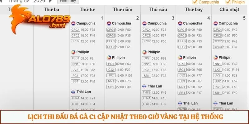 Lịch thi đấu đá gà C1 cập nhật theo giờ vàng tại hệ thống