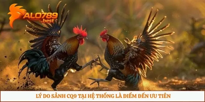 Lý do sảnh CQ9 tại hệ thống là điểm đến ưu tiên
