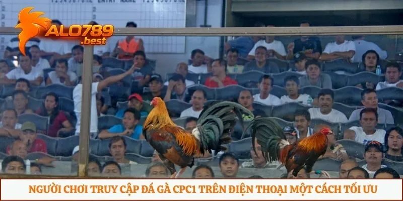 Người chơi truy cập đá gà CPC1 trên điện thoại một cách tối ưu