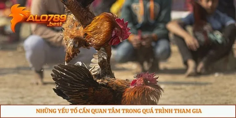 Những yếu tố cần quan tâm trong quá trình tham gia