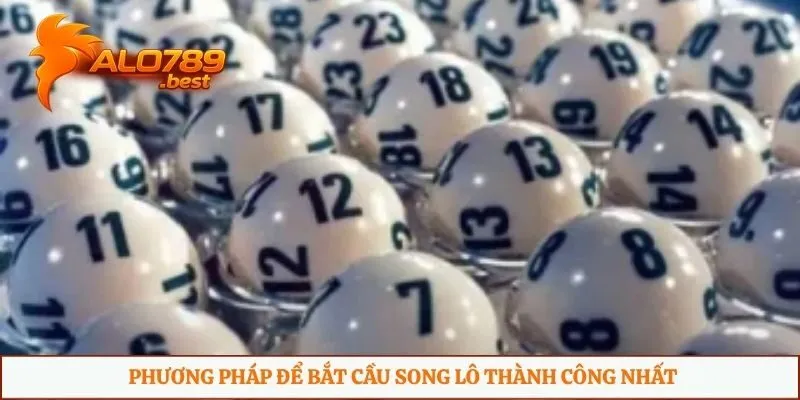 Phương pháp để bắt cầu song lô thành công nhất