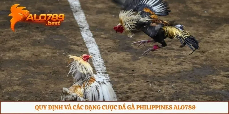 Quy định và các dạng cược đá gà Philippines Alo789