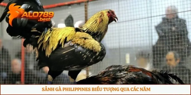 Sảnh gà Philippines biểu tượng qua các năm