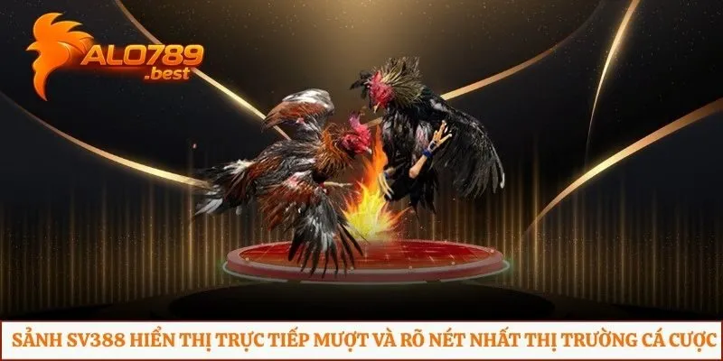 Sảnh SV388 hiển thị trực tiếp mượt và rõ nét nhất thị trường cá cược