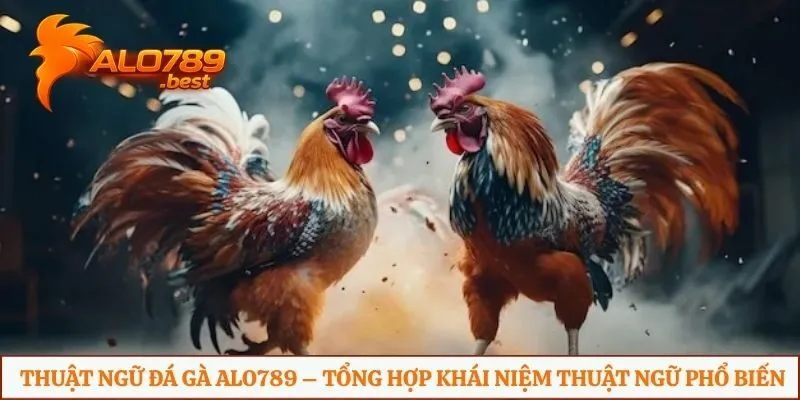 Thuật ngữ đá gà Alo789