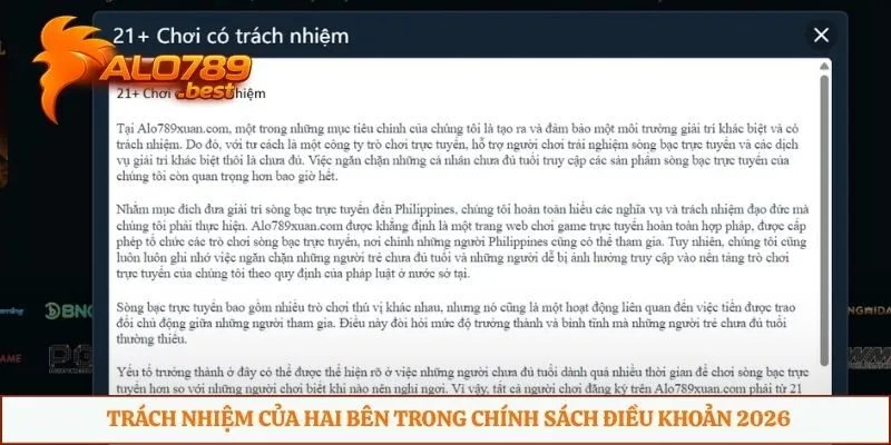 Trách nhiệm của hai bên trong chính sách điều khoản 2026