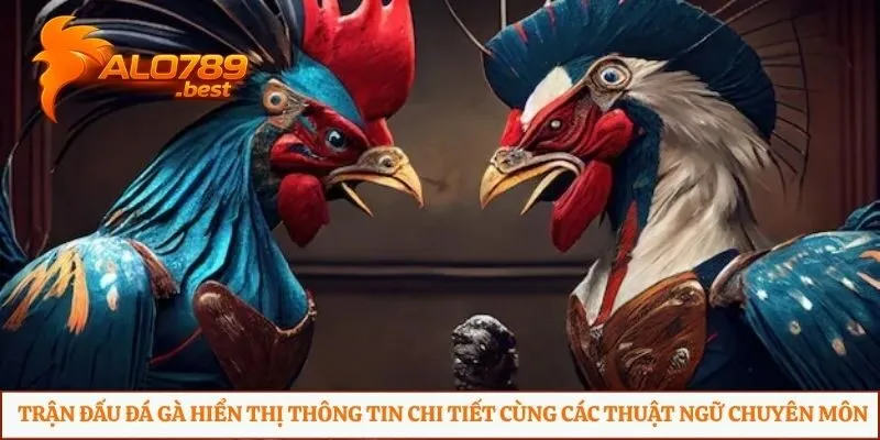 Trận đấu đá gà hiển thị thông tin chi tiết cùng các thuật ngữ chuyên môn