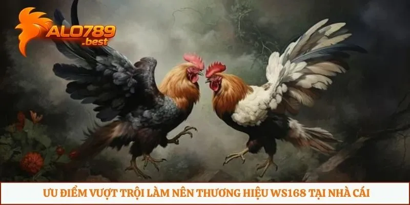 Ưu điểm vượt trội làm nên thương hiệu WS168 tại nhà cái