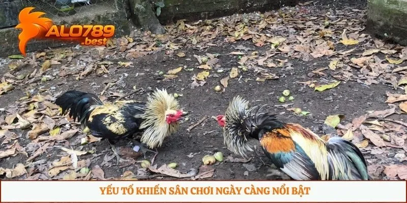 Yếu tố khiến sân chơi ngày càng nổi bật